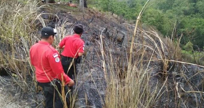Terlihat KPHP Kerinci saat memadamkan api.