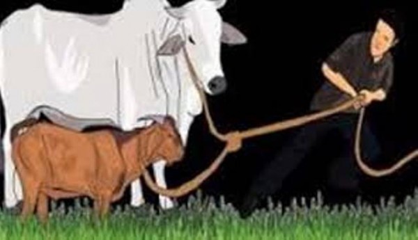 ilustrasi.
