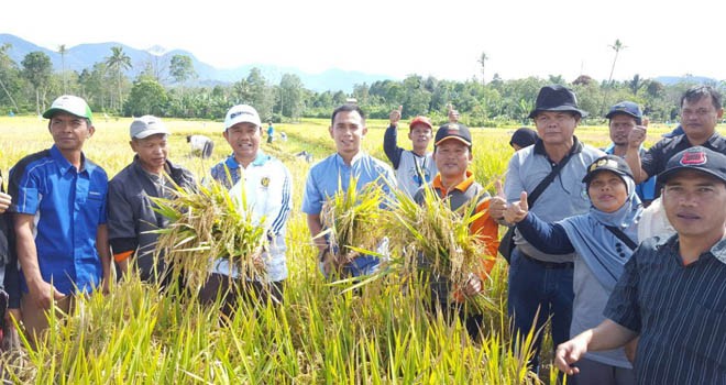 Dipo Ilham Djalil bersama warga dan pemerintah melihat produktivitas pertanian Kerinci beberapa waktu yang lalu.  