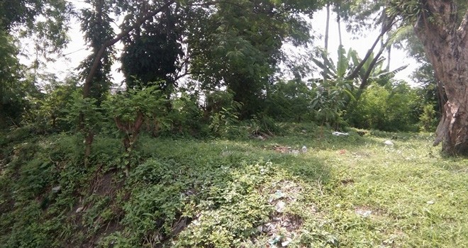 Banyak warga yang belum memiliki sertifikat tanah. Hal ini dikarenakan itu merupakan tanah mentah dan belum diurus.