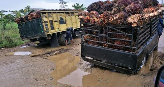 Kondisi jalan di kawasan Muarasabak.