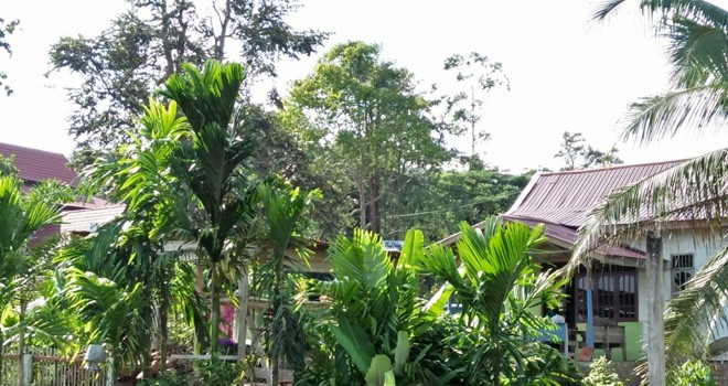 Warung Remang-remang Beroperasi di Komplek Perkantoran Pemkab Tanjabtim.