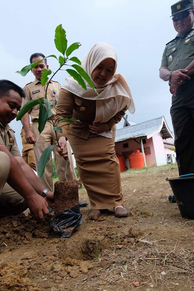 Bupati Muaro Jambi Hj Masnah Busro SE melakukan penanaman pohon.
