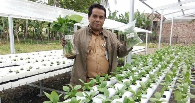 Lurah Eka Jaya menunjukkan hasil pertanian warga yang bercoco tanam menggunakan metode hidroponik.