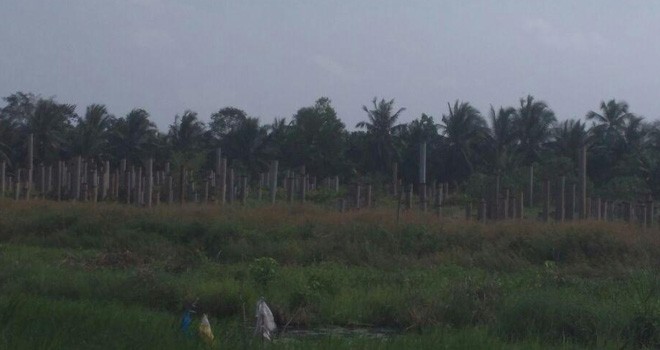 Lokasi Pembangunan Sport Center Kabupaten Tanjung Jabung Barat.