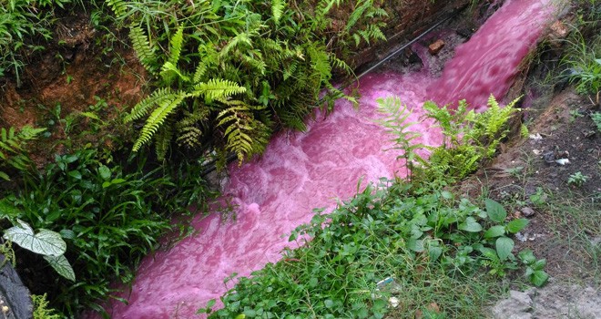 Limbah produksi reptile berwarna merah dibuang ke drainase oleh UMKM Tina Mirta.