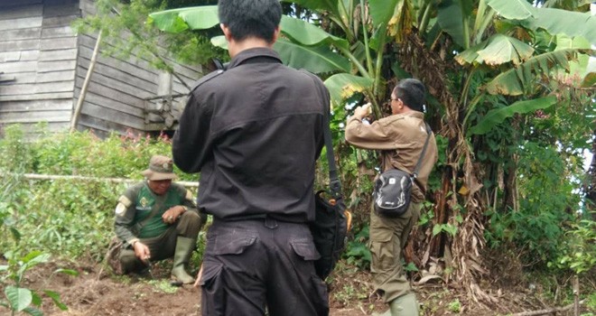 Terlihat Tim dari TNKS saat turun ke Renah Pemetik.