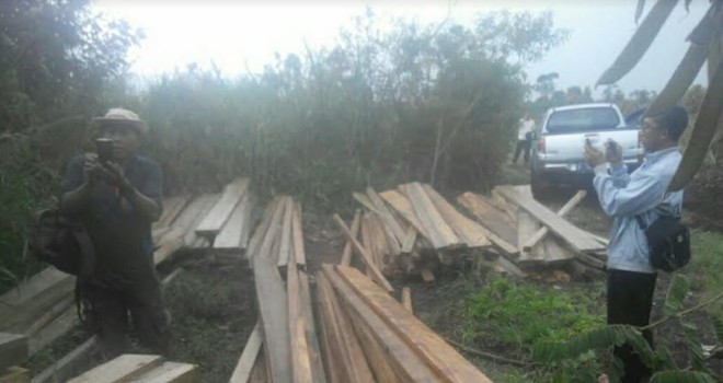 legal Loging di Kaki Gunung Kerinci saat Diamankan Tim gabungan dari Polres Kerinci, Polhut, dan TNKS.