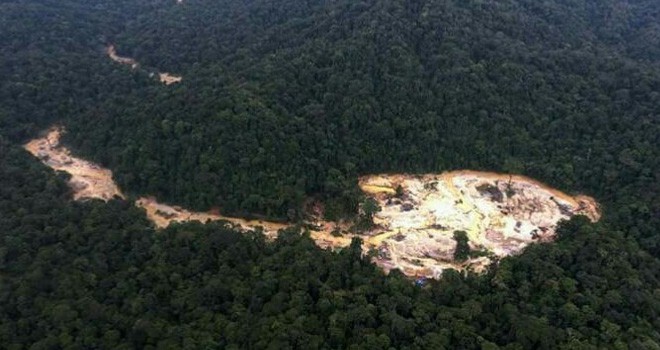 Terlihat ktivitas PETI itu di kawasan hutan lindung di wilayah Kecamatan Batang Merangin, Kabupaten Kerinci.