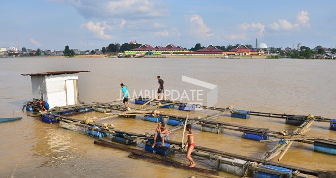 Terlihat Debit Air Sungai Batanghari Terus Naik. Foto : M Ridwan / Jambi Ekspres