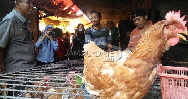 Diseperindag Kota Jambi cek harga daging ayam di pasar tradisional Angso Duo (7/5) kemarin. Foto : M Ridwan / Jambi Ekspres
