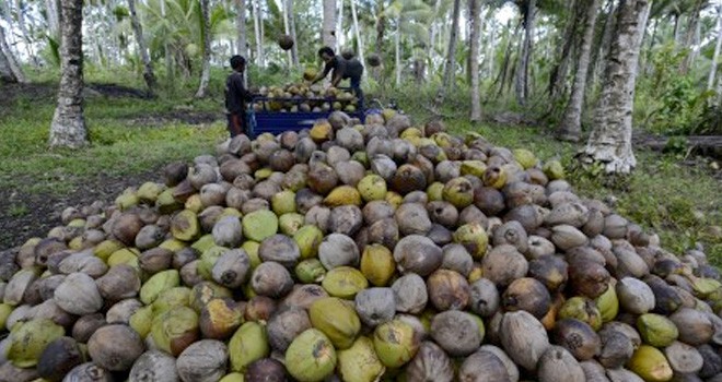 Ilustrasi. Foto : Net