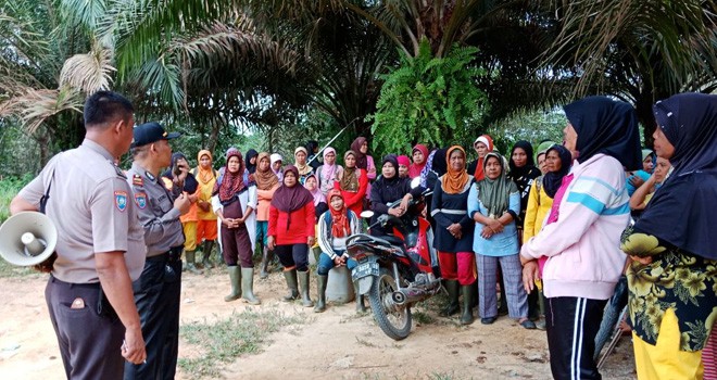 Puluhan BHL PT SKU Tuntut Uang THR dan Tali Kasih.