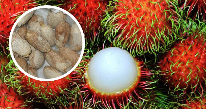 Ilustrasi. Foto : Net