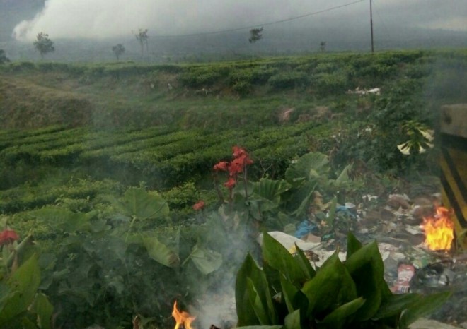 Sampah menumpuk di sepanjang jalan di objek wisata kebun teh Kayu Aro.