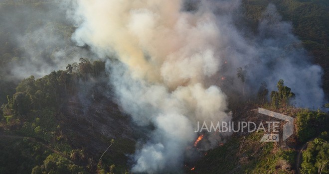 Kebakaran hutan di perbatasan Tebo-Batanghari. Kebakaran ini diduga dilakukan oleh oknum yang ingin membuka lahan perkebunan. Foto ini diambil pada Agustus 2017 lalu. 