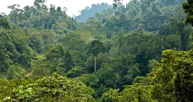 Ilustrasi. Foto : Net