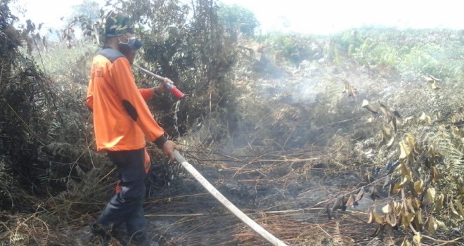 Tim saat melakukan pemadaman di Desa sungai sayang.