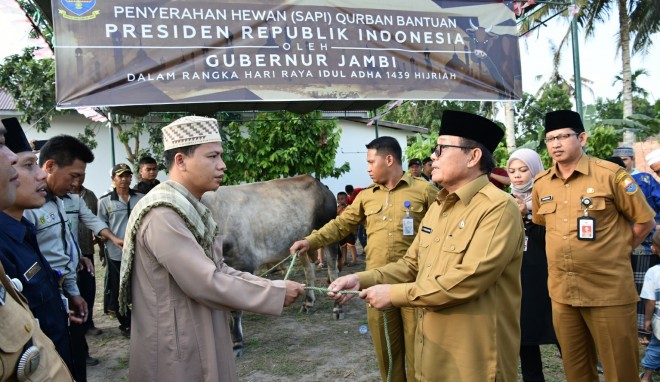 Pelaksana Tugas (Plt) Gubernur Jambi, Fachrori Umar, menyerahkan dua ekor sapi kurban dalam rangka Hari Raya Idul Adha 1439 H, di Mesjid Mahabatullah, Posos II, Kelurahan Eka Jaya, Kecamatan Paal Merah, Kota Jambi, Selasa (21/8).