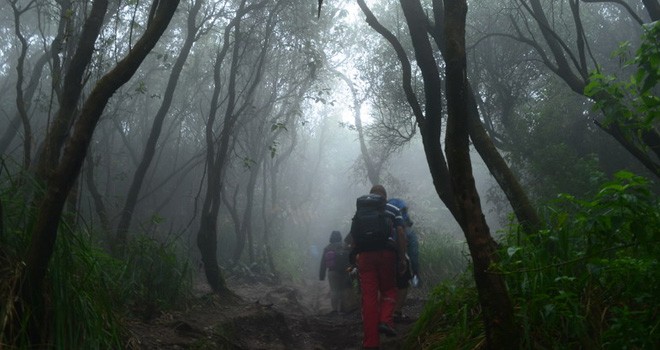 Ilustrasi. Foto : Net
