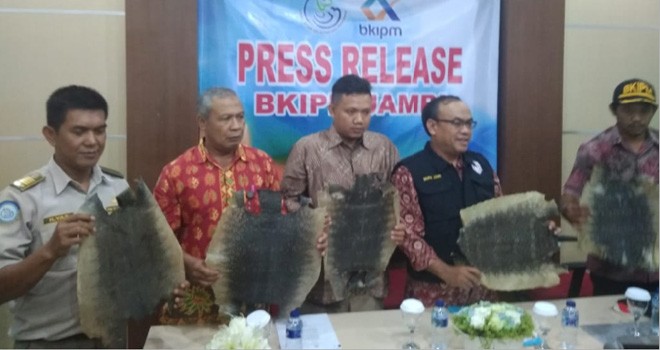 Ratusan kulit biawak kering yang berhasil diamankan anggota BKIPM Jambi dan Avsec Bandara Sultan Thaha saat diperlihatkan di kantor BKIPM Jambi, Kamis (30/8).