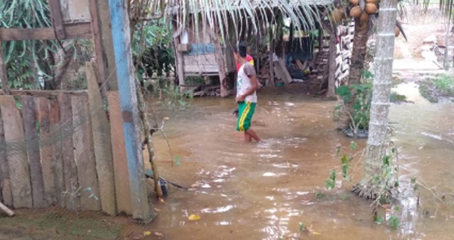 Rumah dan Kebun Warga di Rimbo Ulu Terendam Banjir.