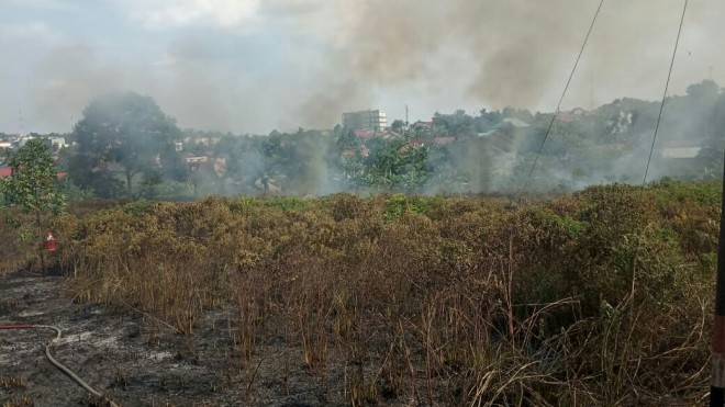 Sebidang tanah di Pematang Sulur yang terbakar. 