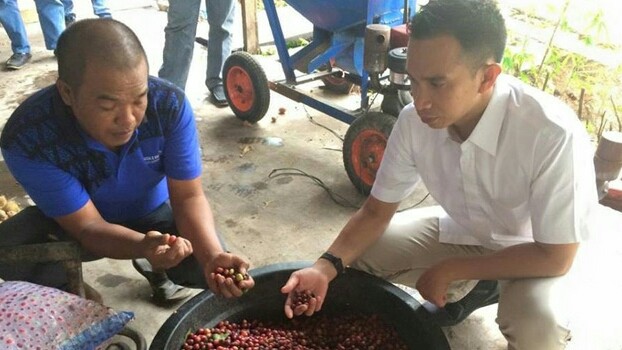 KUNJUNGAN : Staf khusus pimpinan DPR RI, Dipo Ilham Djalil melihat hasil pertanian kopi arabika di rumah petani di kawasan Kayu Aro.