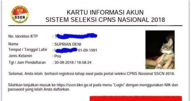 Foto Kucing Pada Pendaftaran CPNS 2018.