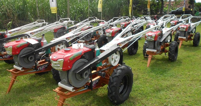 Ilustrasi. Foto : Net