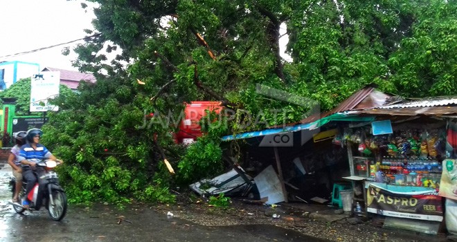 Pohon tumbang di Jalan Dara Petak II, Kecamatan Jambi Timur menimpa pangkalan ojek dan warung kelontong. Tidak ada korban jiwa.