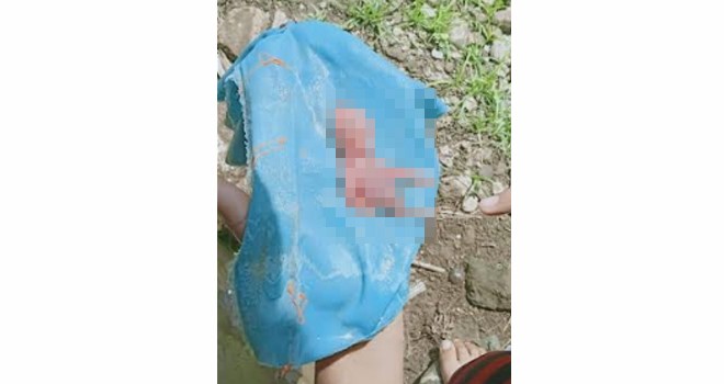 Jasad Bayi di Bungo Ditemukan Seekor Anjing.