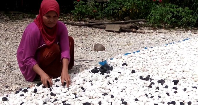 Hamsiah menjual batu alam putih dan hitam dari bekas lokasi tambang PETI di Jalan Lintas Sumatera.