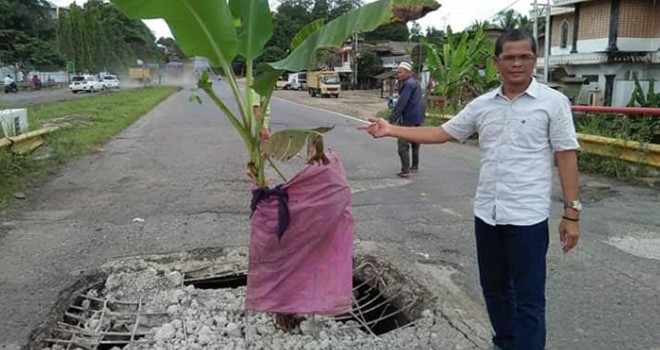 Warga Tanam Pohon Pisang di Jalan Lintas Sumatra.