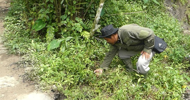 Warga Berusaha Menyalakan Kembali Api Dengan Korek Pada Rekahan Yang Sebelumnya Mengeluarkan Api. (Darno/Radarmas)