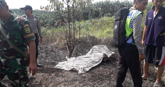 Korban saat dievakuasi dari lokasi. Foto : Ist For Jambi Update