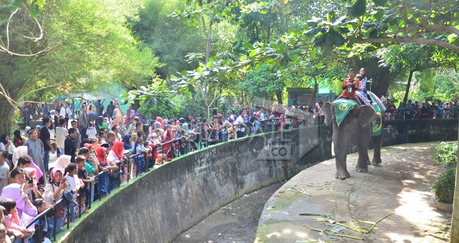 Pengunjung memadati kebun Bianatang Taman Rimbo saat libur. Taman Rimbo merupakan destinasi andalan di Jambi. Foto : M Ridwan / Jambi Ekspres