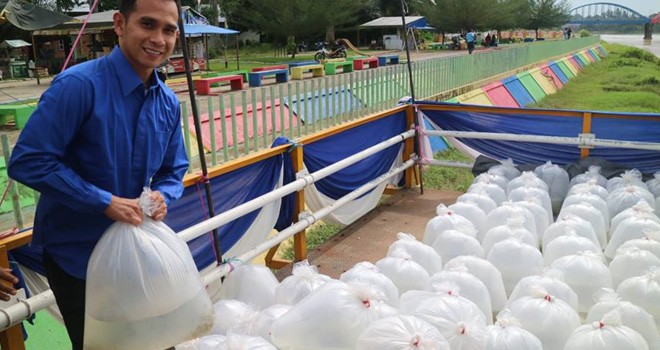 Staf khusus pimpinan DPR RI Dipo Nurhadi Ilham ikut membagikan benih ikan di Kabupaten Sarolangun bersama Ditjen Perikanan Budidaya Kementerian KKP. Foto : Ist For Jambiupdate 