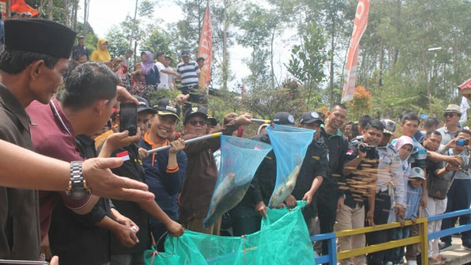 Bupati saat Mendampingi Gubernur Panen Ikan di Taman Pertiwi 