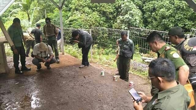 Tim gabungan BKSDA, Perhutani dan PROFAUNA Indonesia mengumpulkan data di lokasi matinya rusa. (Dok. Profauna)
