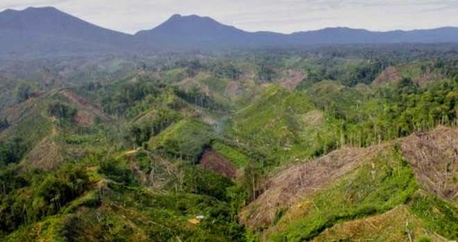 Ilustrasi. Foto : Dok Jambi Update
