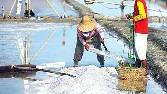 Ilustrasi petani tengah memanen produksi garamnya (DOK. JAWA POS)
