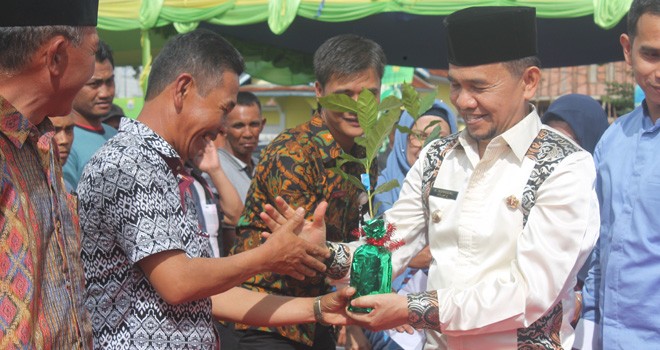 Bupati Kerinci, Adirozal, saat mnyerahkan bibit kopi ke petani. Foto : Gusnadi / Jambiupdate