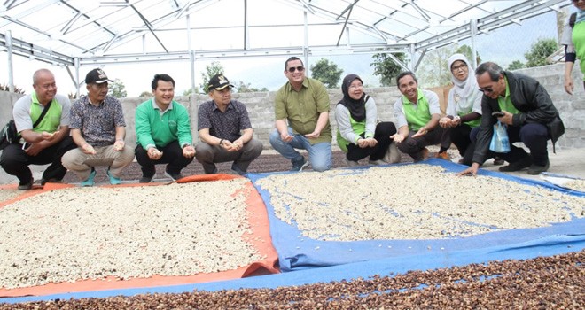 Kopi yang sedang dijemur dirumah penjemuran kopi. Rumah penjemuran kopi merupakan bantuan yang diberikan Pertamina Regional Sumbagsel. Foto : Ist