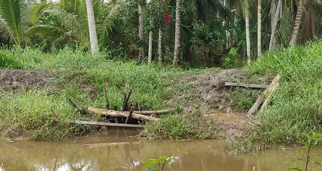 Rehabilitasi/peningkatan jaringan rawa di Desa Parit Pudin, Kecamatan Pengabuan, Kabupaten Tanjab Barat, dari Kementrian PUPUR melalui Balai Wilayah Sungai Sumatra IV Provinsi Jambi dikeluhkan warga. Foto : Gatot / Jambiupdate