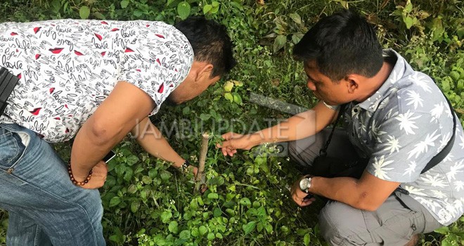 Anggota Polres Tebo saat menemukan ganja yang ditanam pelaku JH di belakang rumahnya di Dusun Sumber Arum, Desa Lubuk Mandarsah, Kecamatan Tengah Ilir, Kabupaten Tebo, Senin (28/1). Foto : Munasdi / Jambiupdate