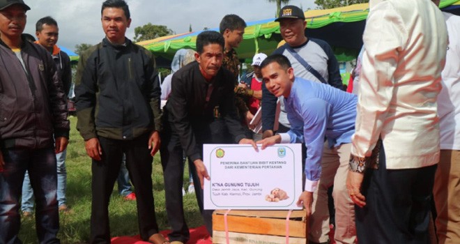 Staf khusus pimpinan DPR RI, Dipo Nurhadi Ilham menyerahkan bantuan bibit kentang dari untuk petani Kayu Aro. Foto : Ist
