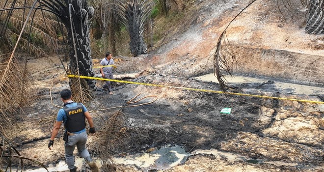 Lokasi sumur minyak ilegal di Desa Pompa Air, Kecamatan Bajubang yang terbakar. Reza / Jambiupdate