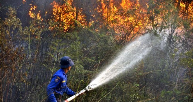Ilustrasi. Foto : Net