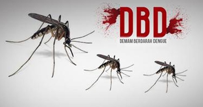 6 Anak di Sarolangun Terserang DBD. Foto : Ist
